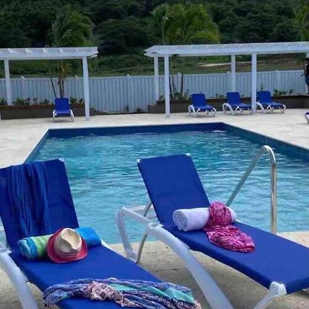 Natty'S Cozy Beach House In Hanover Jamaica Lucea Exterior photo