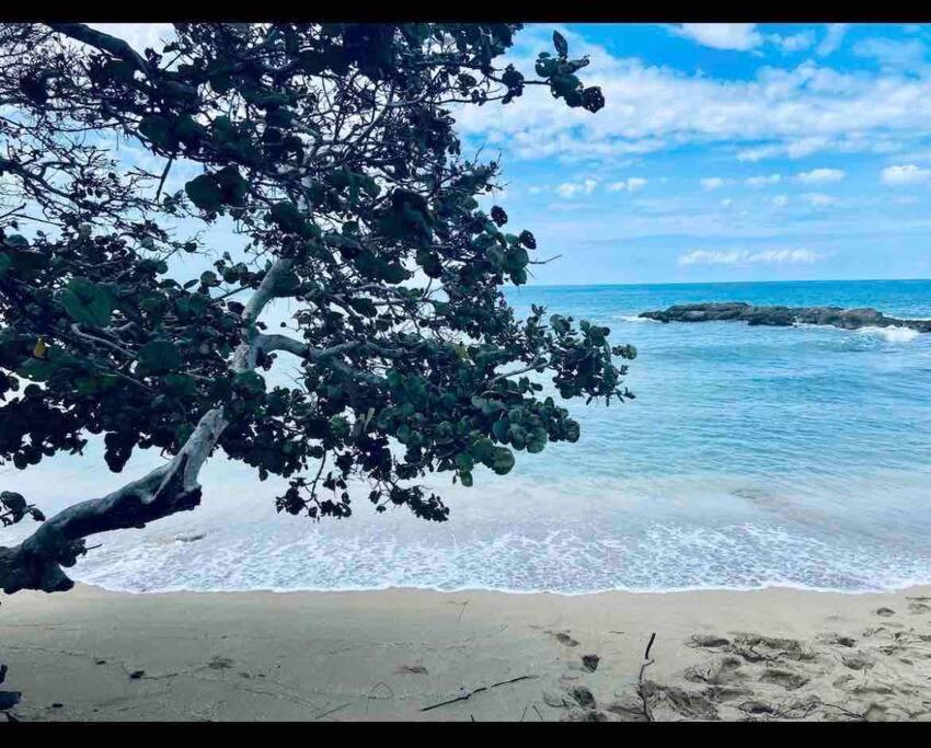 Natty'S Cozy Beach House In Hanover Jamaica Lucea Exterior photo
